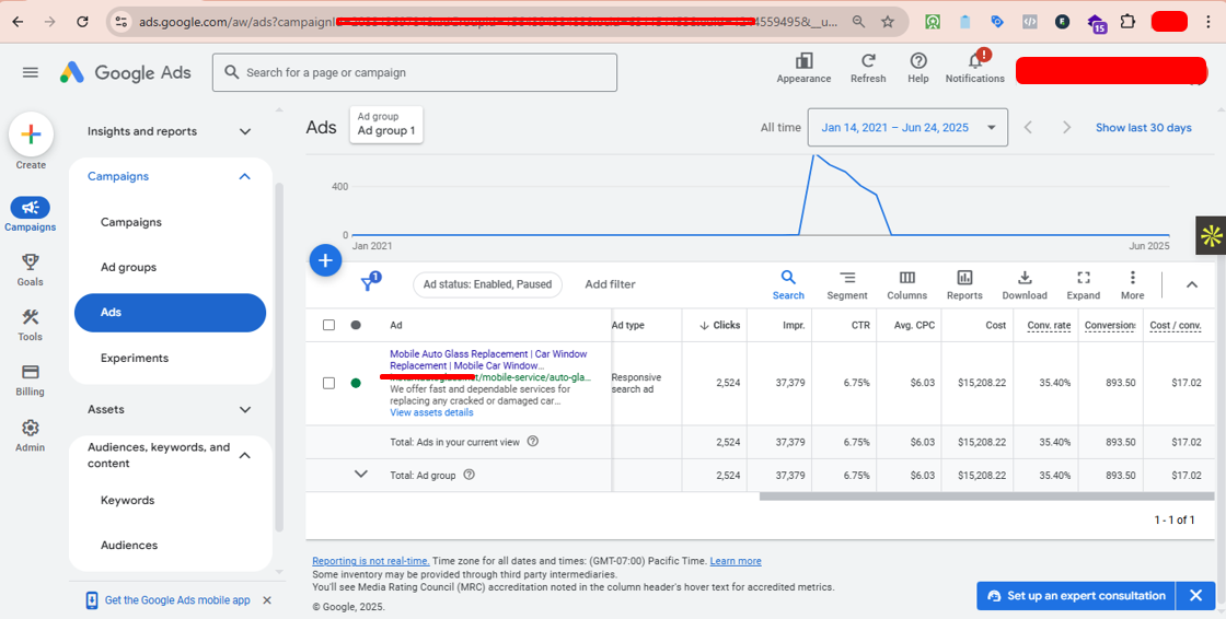 Google Ads Success Story: 893 Leads Generated with 35.4% Conversion Rate — project screenshot
