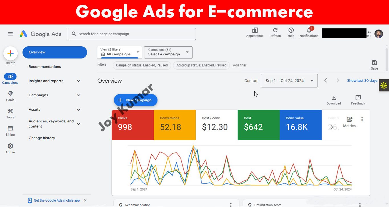 Google Ads for E-commerce Growth — project screenshot
